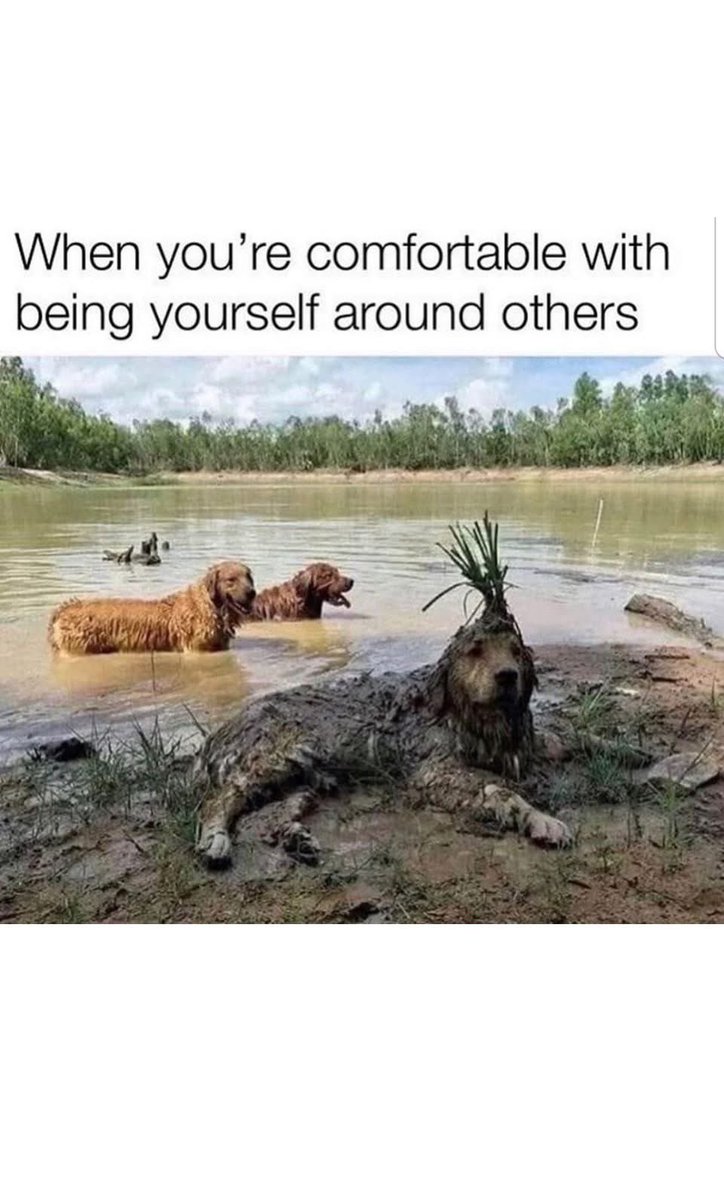 Puppieslover's tweet image. 