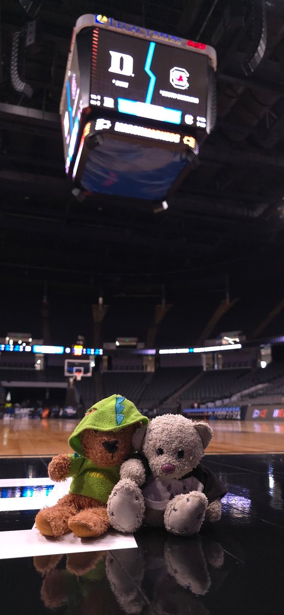 Game for a trip to the Final Four!  We're nervous but ready!  #basketballbears 🐻🏀🐻‍❄ #ncaabasketball #NCAAWBB #MarchMadness