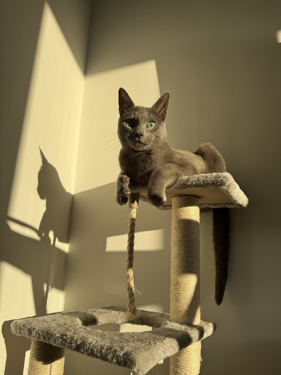 Moke (@mokessb) on Twitter photo 