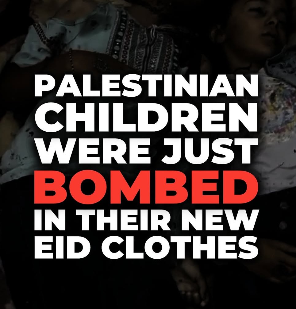 Nadira Ali🇵🇸 tweet media