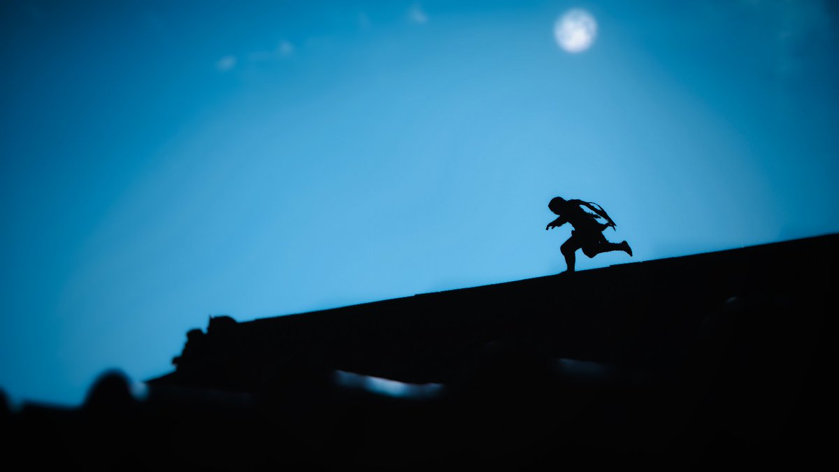 Some more random shots from AC Shadows 📷 

#AssassinsCreedShadows #VirtualPhotography