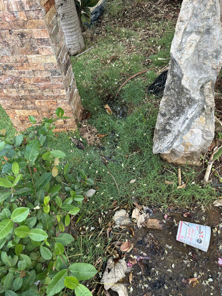 sararangell's tweet photo. @DHCAGUAKAN la huella de agua de mi casa tiene fuga y nadie va a atenderlo se está desperdiciando mucha agua https://t.co/2meXFha4tx