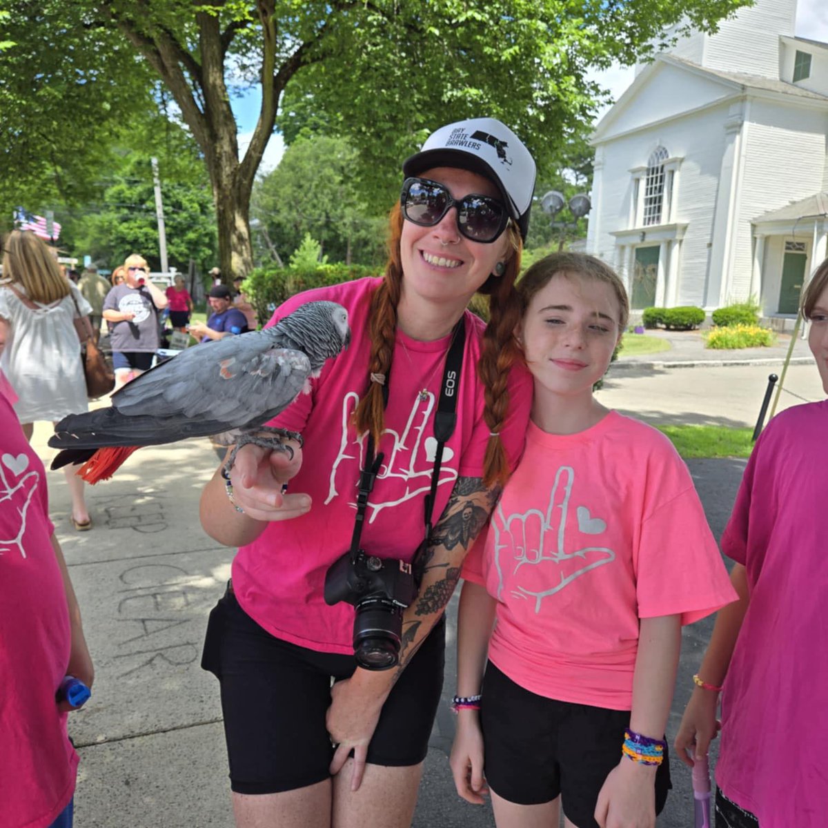 Masshole Mafia tweet media