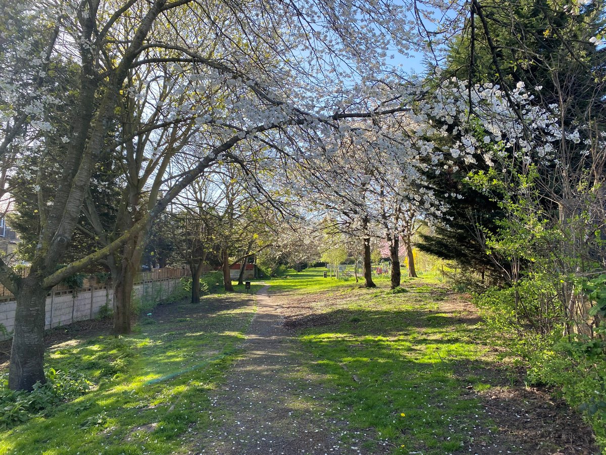 Chiswick Police tweet media