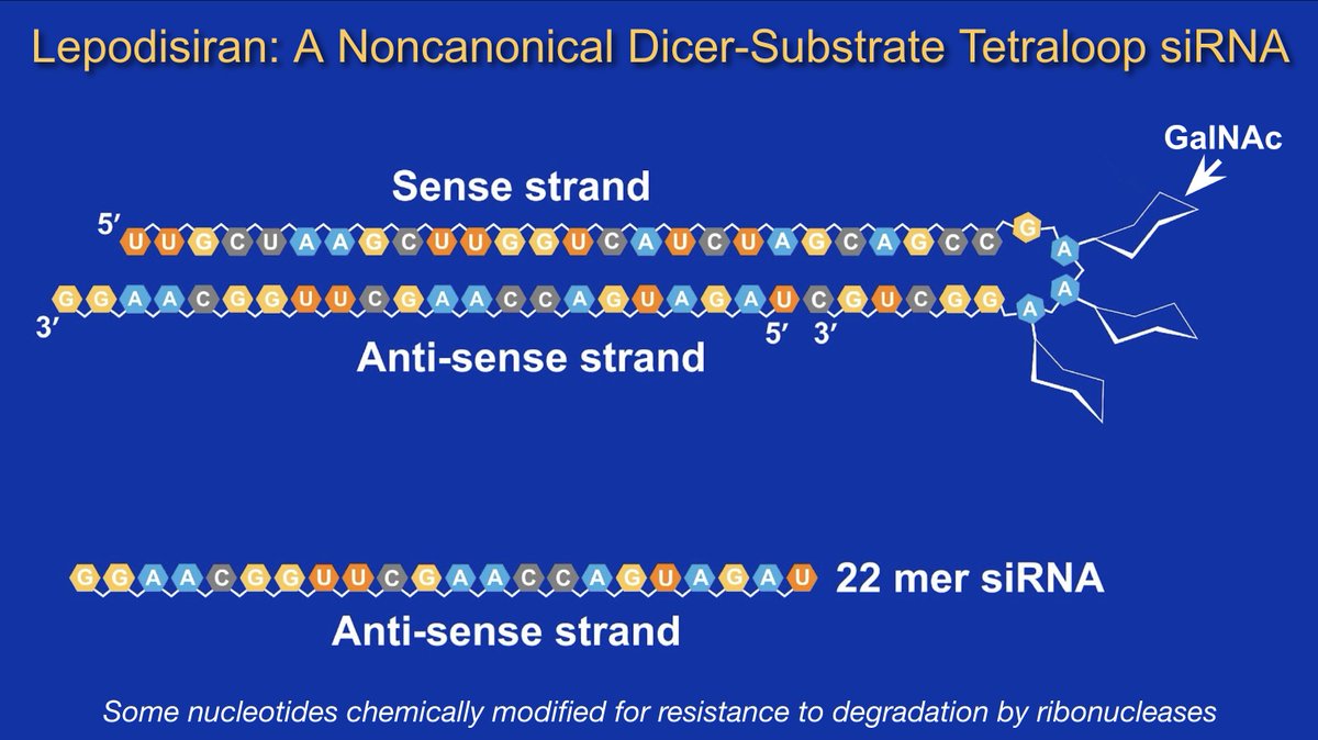 CMichaelGibson's tweet photo. Late-breaker at #ACC2025: Dr. Steven Nissen presented the phase 2 ALPACA trial, showing substantial &amp; durable Lp(a) reductions by lepodisiran, an siRNA therapy. Slides here: https://t.co/JaukQ1dqrx https://t.co/U7WU9FLDw0