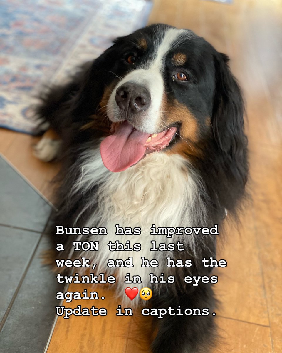 Bunsen, Beaker, Bernoulli & Brix tweet media