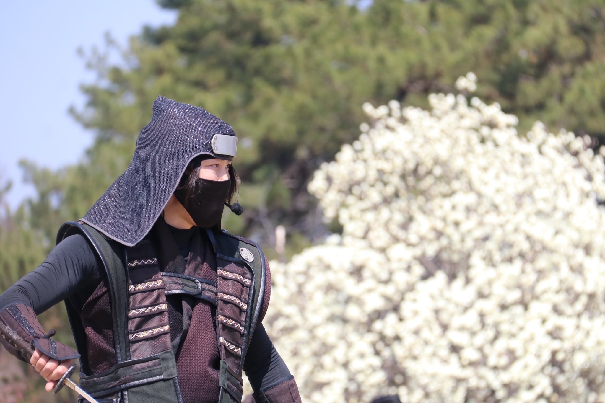 服部半蔵 将軍に仕える服部半蔵 服部半蔵は1541年、下級武士の家に生まれ