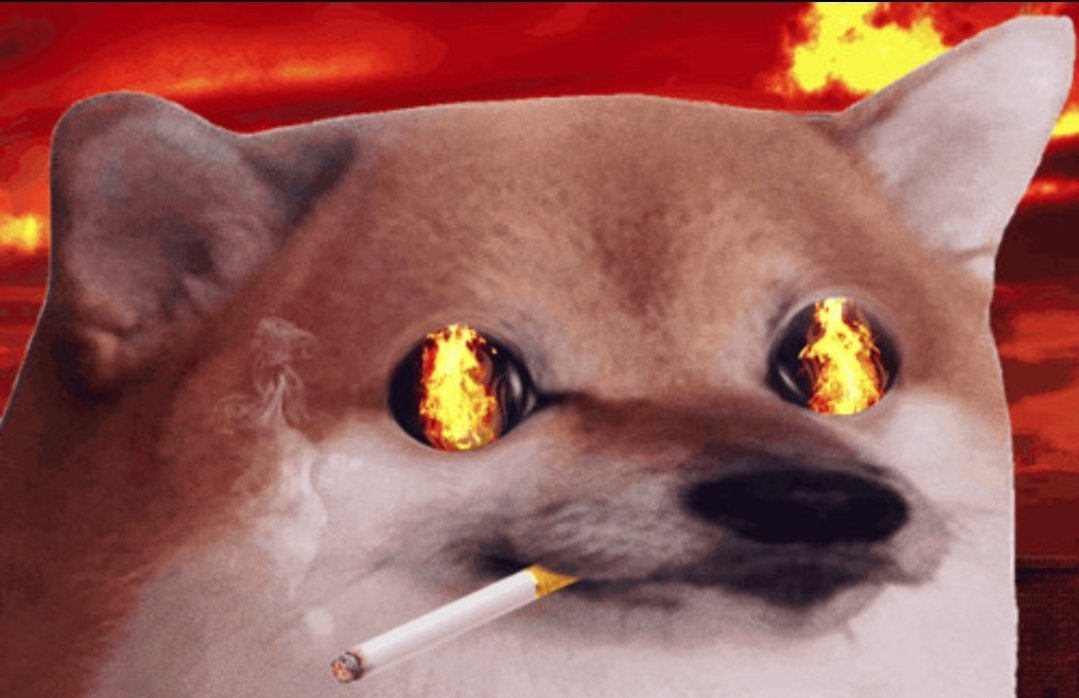 #NAFOfellas get to work