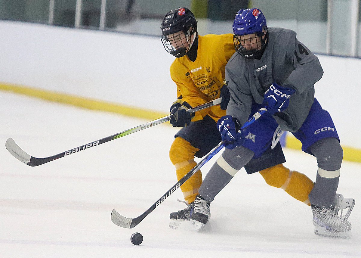 MinnHockeyHP tweet picture