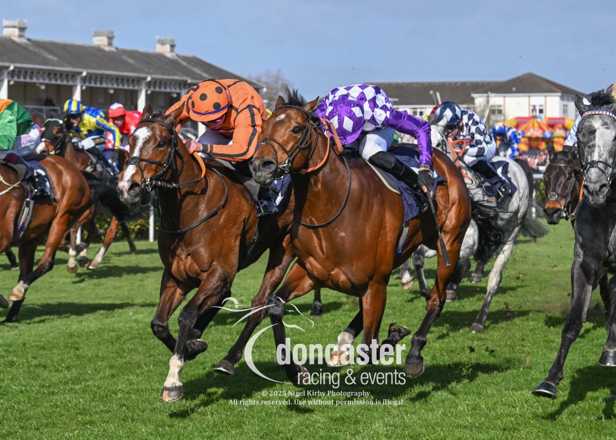 Doncaster Racecourse (@doncasterraces) on Twitter photo RACE 4 – The William Hill More Top Prices Handicap Stakes
🏆Dark Thirty🏆
J – <a href="/LeveySean/">Sean Levey</a>
T – Richard Hannon
O – Martin Hughes & Michael Kerr-Dineen
đź“·<a href="/nigekirby/">Nigel Kirby Photography</a>
#DoncasterRaces RACE 4 – The William Hill More Top Prices Handicap Stakes
🏆Dark Thirty🏆
J – <a href="/LeveySean/">Sean Levey</a>
T – Richard Hannon
O – Martin Hughes & Michael Kerr-Dineen
đź“·<a href="/nigekirby/">Nigel Kirby Photography</a>
#DoncasterRaces