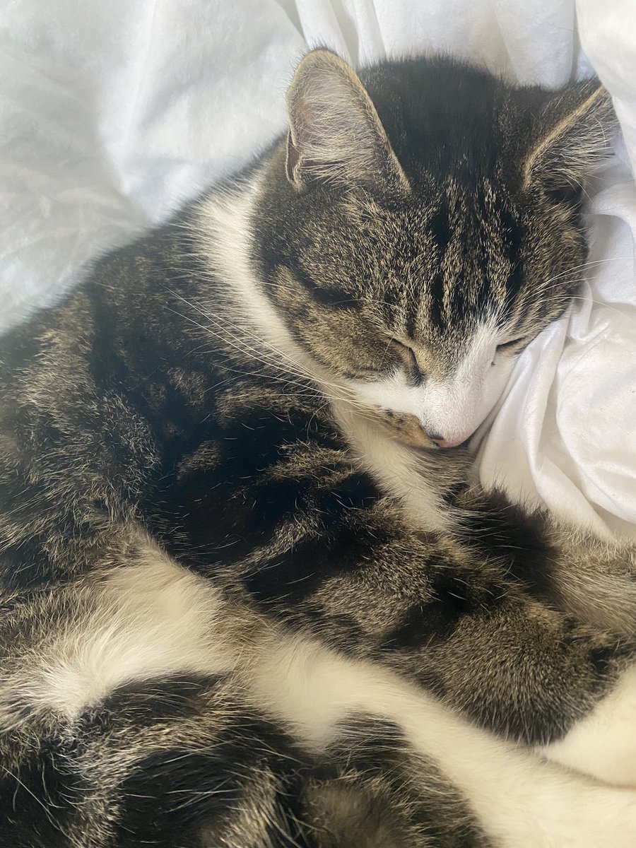 yipyipyayay's tweet image. awwwweee my baby