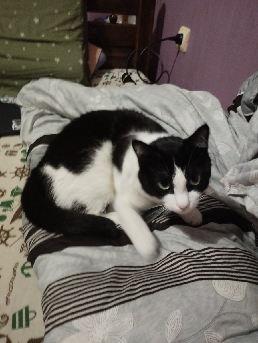 Teason (@teasonhiden) on Twitter photo 