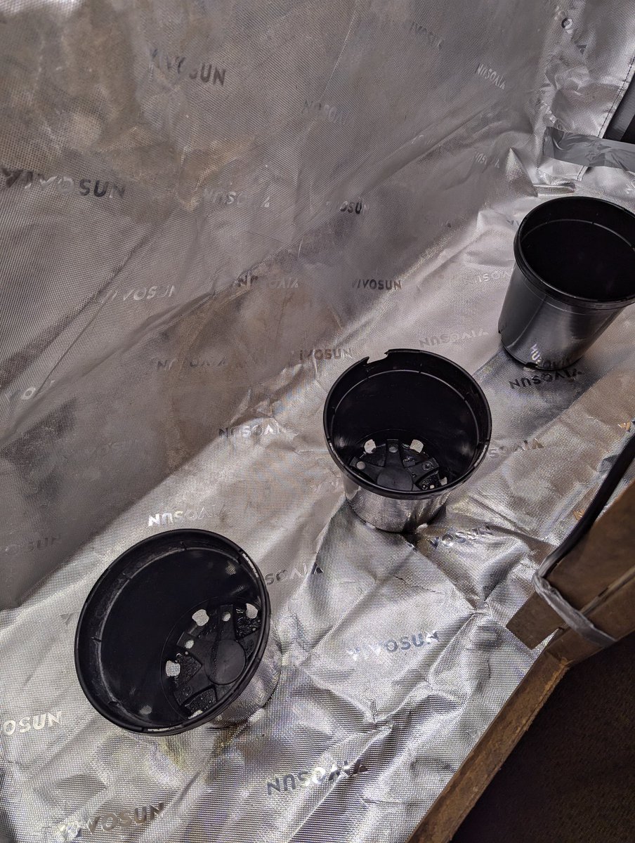 My new little flower cabinet . . .