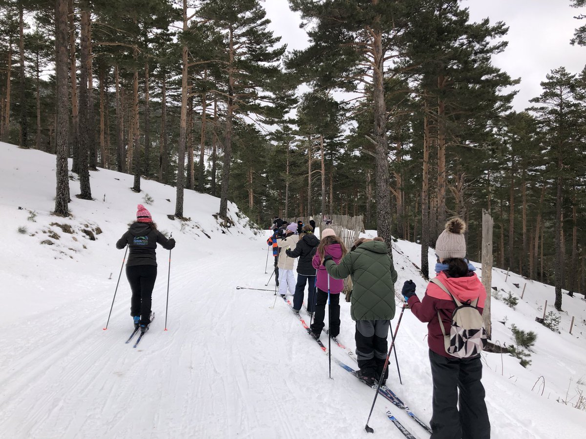 🎿❄️ ¡Increíble experiencia en la salida de esquí de fondo de la semana pasada! Nuestro alumnado de 5º disfrutó de la nieve, el deporte y la convivencia en un entorno único. ¡Un día para recordar! ⛷️