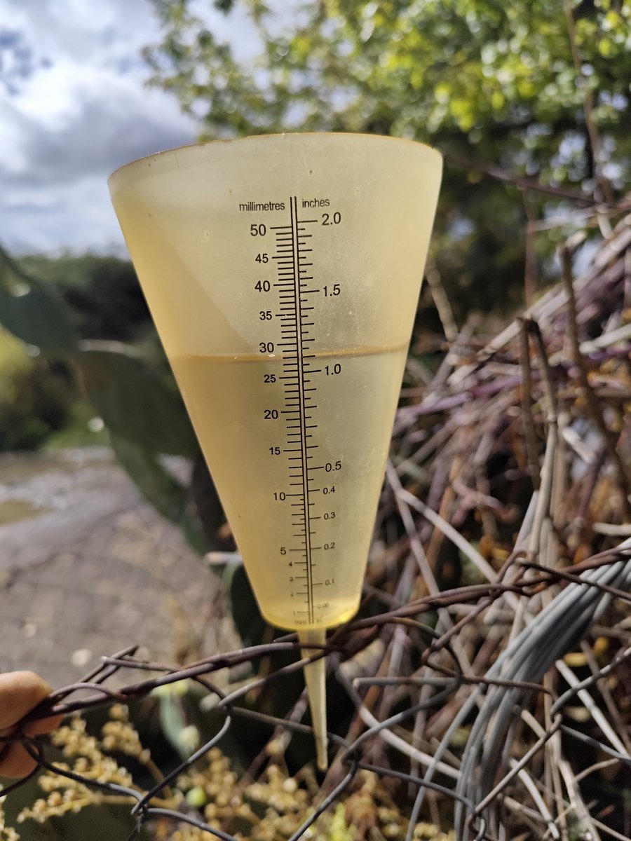 Buena lluvia tuvimos acá en Teno, la módica suma de 28 mm, nada mal para ser la primera del año. <a href="/Sepulinares/">Alejandro Sepúlveda Jara</a> <a href="/meteoredcl/">Meteored Chile</a> @RedPluviometros <a href="/meteochile_dmc/">MeteoChile</a> <a href="/rociormazabal/">Rocío Ormazábal</a>