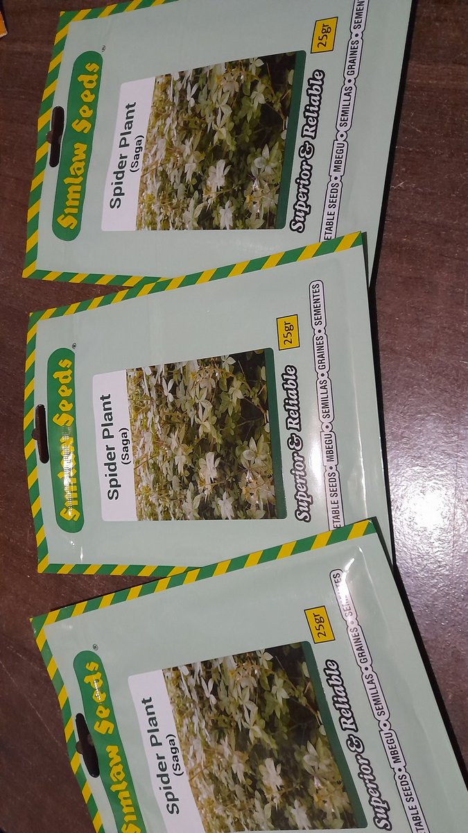 We are thrilled to receive a special donation of assorted vegetable seeds from Y-Map, including Dhania, Kales (1000-headed), Amaranth, Saga, Black Nightshade, and Spinach (75g each).

These seeds will play a crucial role in strengthening our school kitchen gardening microprojects