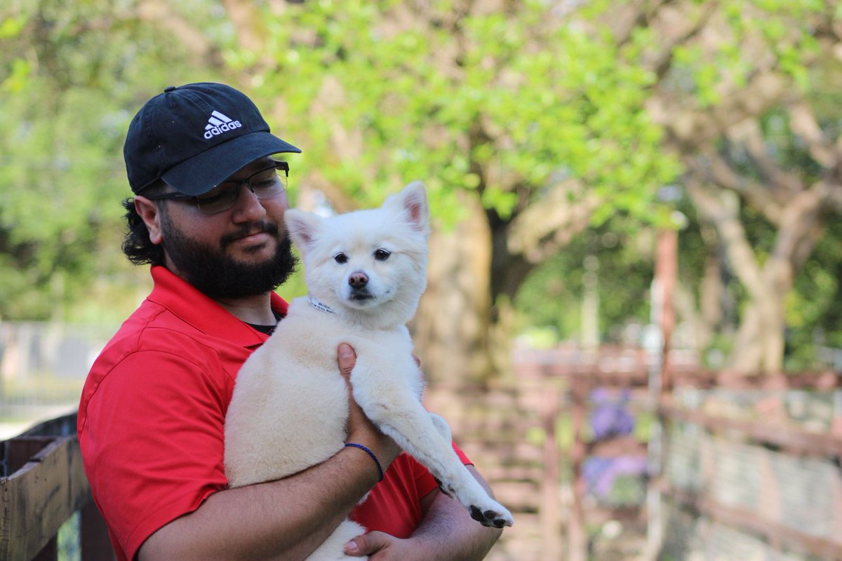 DogDudeRanch's tweet image. 🐾 Pup trivia: Wagging tails don’t always mean happiness—tail height and speed matter too! But don’t worry, our ranch pups are all giving full-throttle wiggle butts.
#TailTalk101 #WagScience #DogBodyLanguage