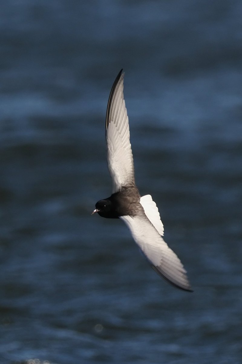 MarcM381 tweet media