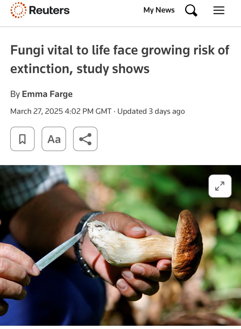 Climate Dad tweet media