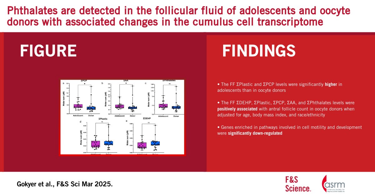 FertStert's tweet photo. 🔴 In F&amp;S Science:

Phthalates are detected in the follicular fluid of adolescents and oocyte donors with associated changes in the cumulus cell transcriptome

Full text 👇
https://t.co/33l0WBhMoW https://t.co/OQOta35V9s