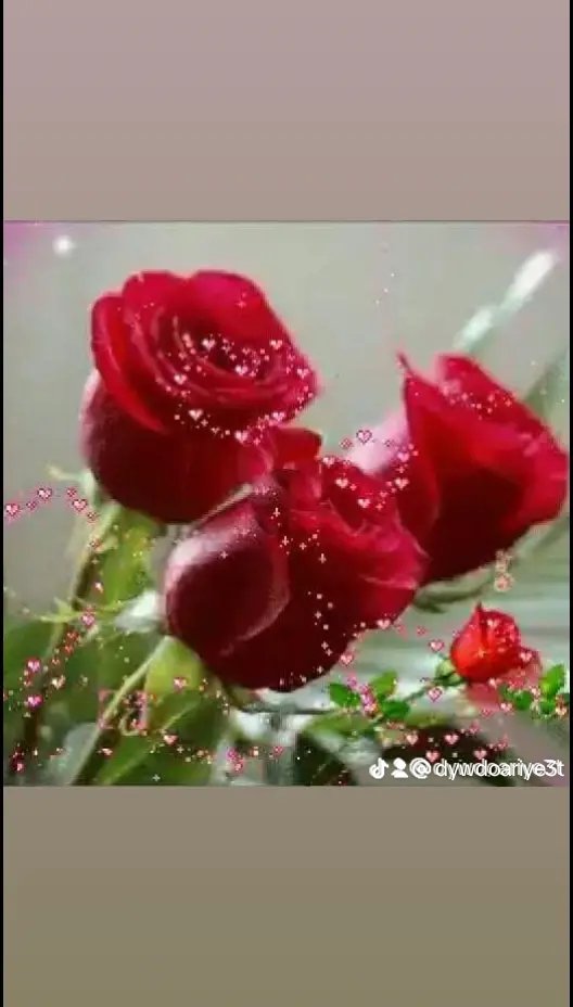 كل عام ونتم بخيرر

عيدسعيدعلينا وعليكم