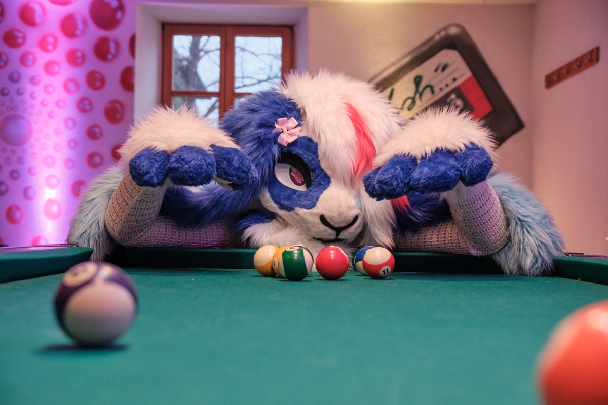 Watch your balls 👀

#furry #fursona #fluffy