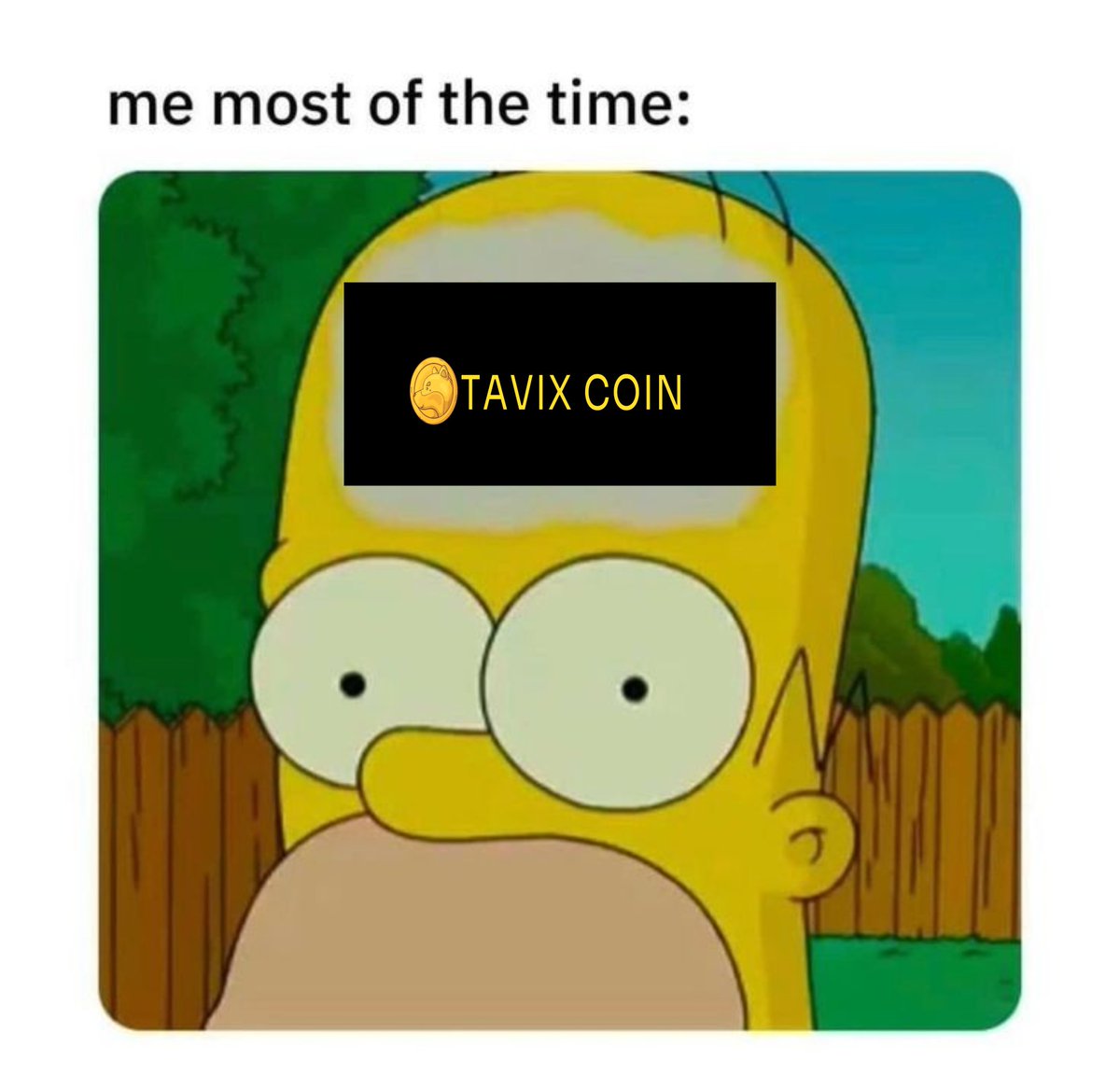 TAVIXCOIN's tweet photo. TAVIX on my mind 24/7. 🚀 https://t.co/2lmtjmwMlK