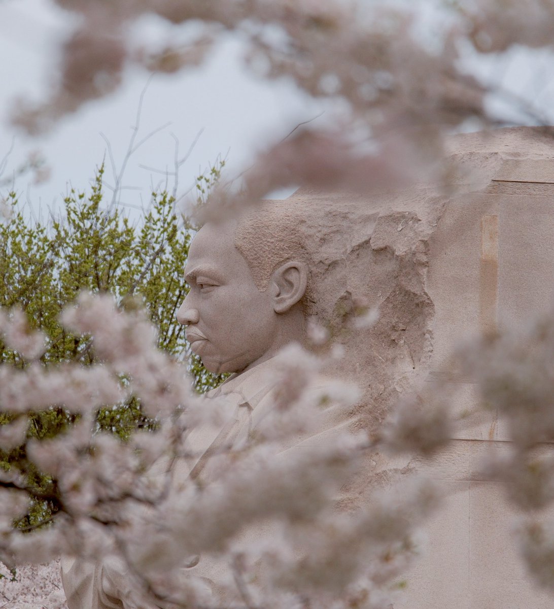 norahpatrick's tweet photo. Saturday peak bloom at the tidal basin @capitalweather https://t.co/o6VrBQDmXB