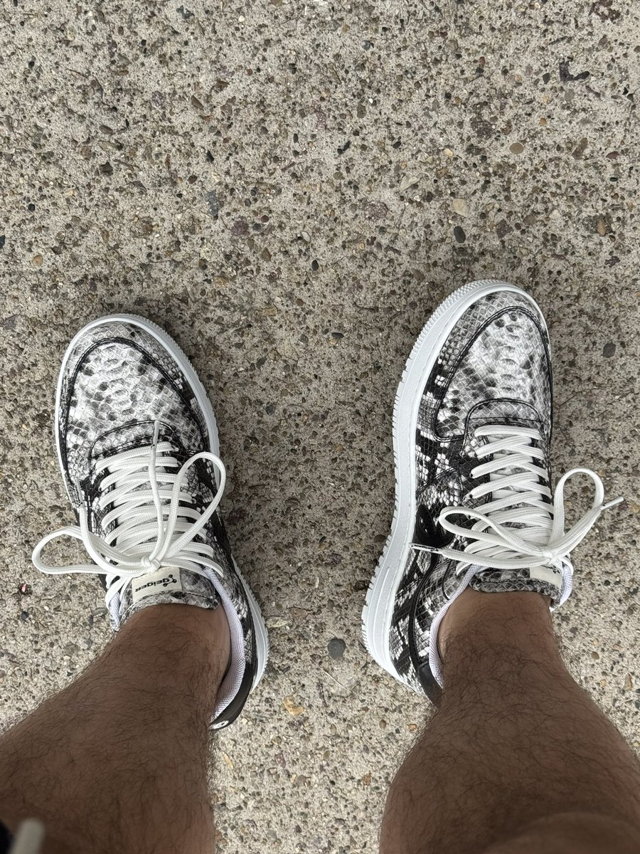 Natural pythons look crispy on foot <a href="/JohnGeiger_/">John Geiger</a> 🫡