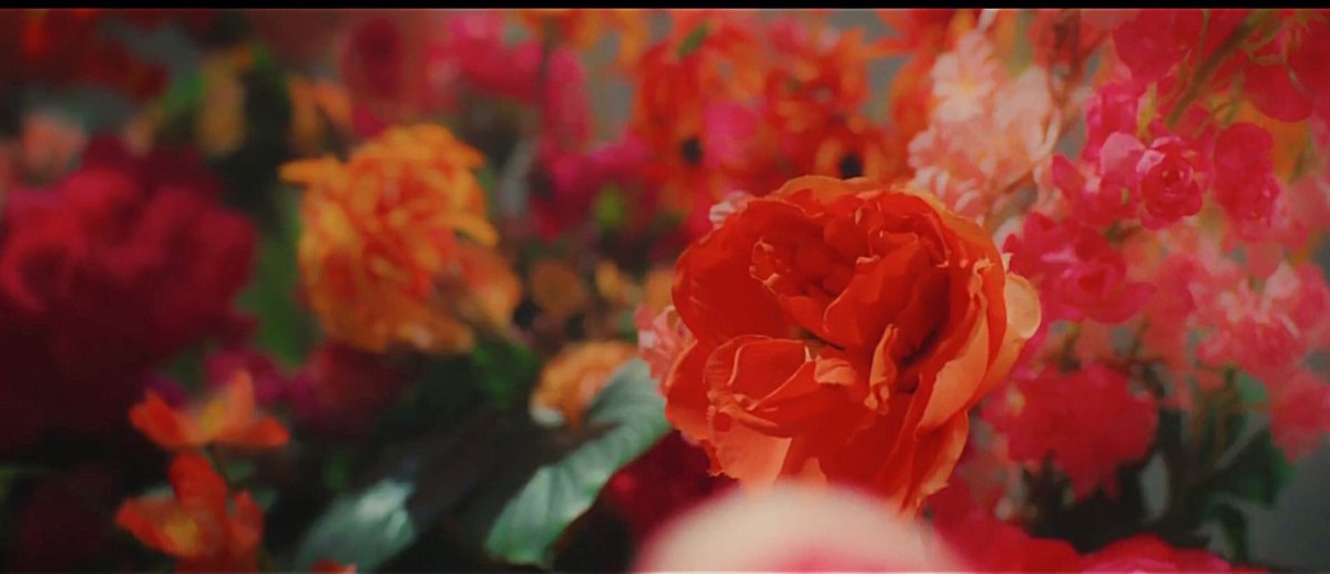 Babypoonpoon27's tweet photo. สดใสท่ามกลางดอกไม้นานพรรณ
🌹🌼🌸🌻🌺

FIRST LOVE 1ST CONCEPT
#FirstOneFirstLoveD1
#FirstoneFirstDebut
#Firstone https://t.co/5Q3sBxEgDm