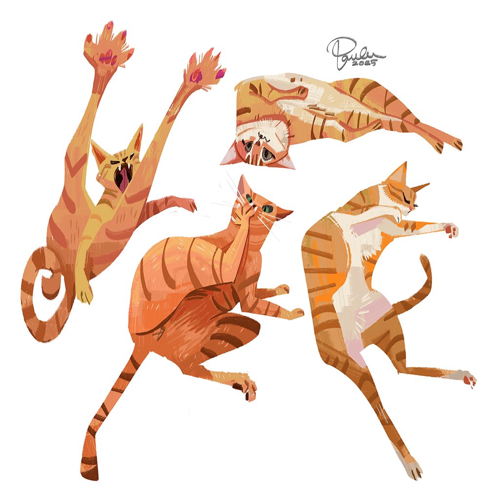 paula_hsu8's tweet image. Cats☺️