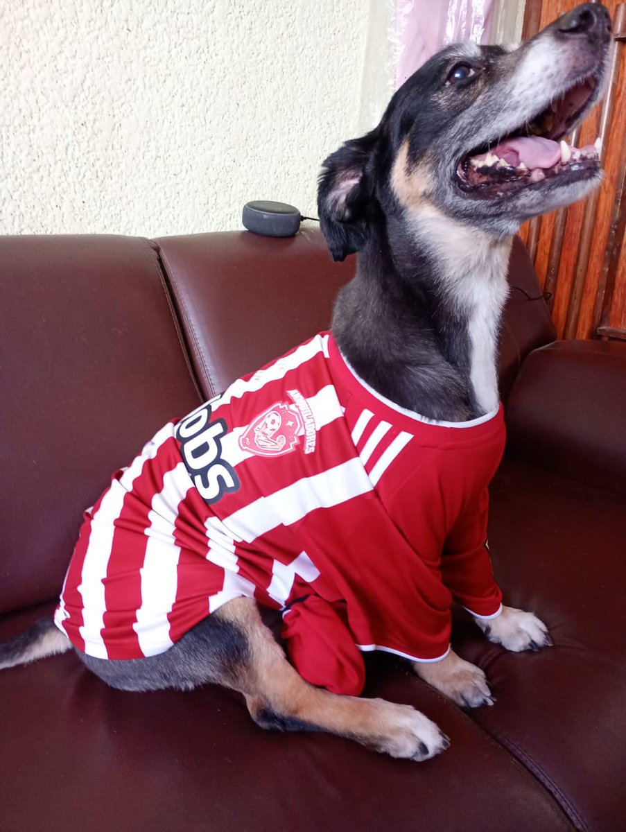 En mi casa todos somos de <a href="/AniquiladoresFC/">Aniquiladores FC 💪</a> ❤️🤍🖤💪