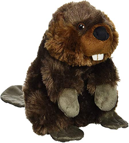 I just received Wild Republic Beaver Plush, Stuffed Animal, Plush Toy, Gifts for Kids, Cuddlekins 8 Inches from Anonymous via Throne. Thank you! throne.com/chloeredsell #Wishlist #Throne