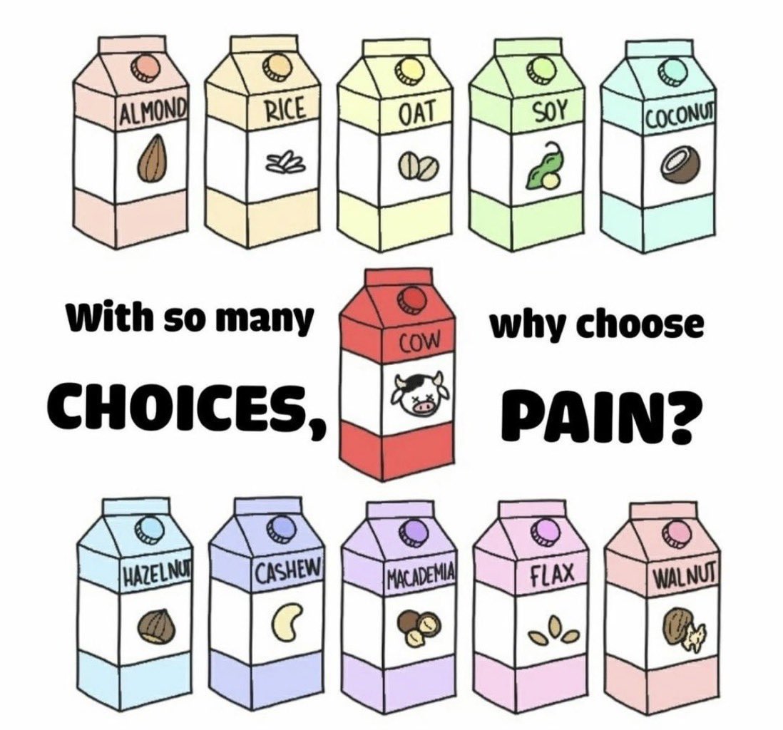 Which one is your favorite? 🌱🥛