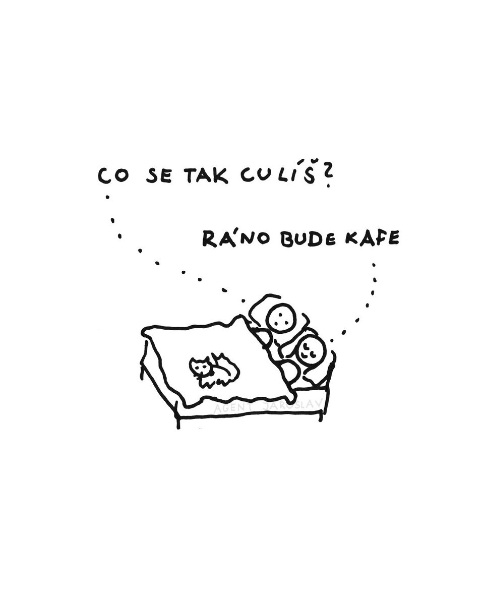 agentjaroslav's tweet photo. Dobrou noc https://t.co/hL4qdZxIMl