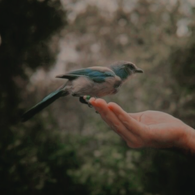 pnghafa's tweet photo. ‍ ‍ ‍ ‍
 𝒂𝐧𝐝 𝐚𝐭 𝐥𝐚𝐬𝐭 𝐈 𝐬𝐞𝐞 𝐭𝐡𝐞 𝐥𝐢𝐠𝐡𝐭.
ㅤㅤㅤ  ㅤ https://t.co/pApU7QOI7H