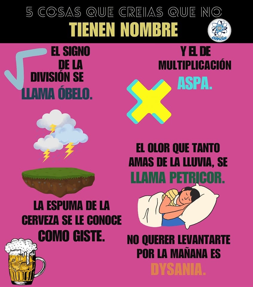 EnsedeCiencia's tweet photo. ¿Lo sabías? 🤯 https://t.co/IrZcTkehsu