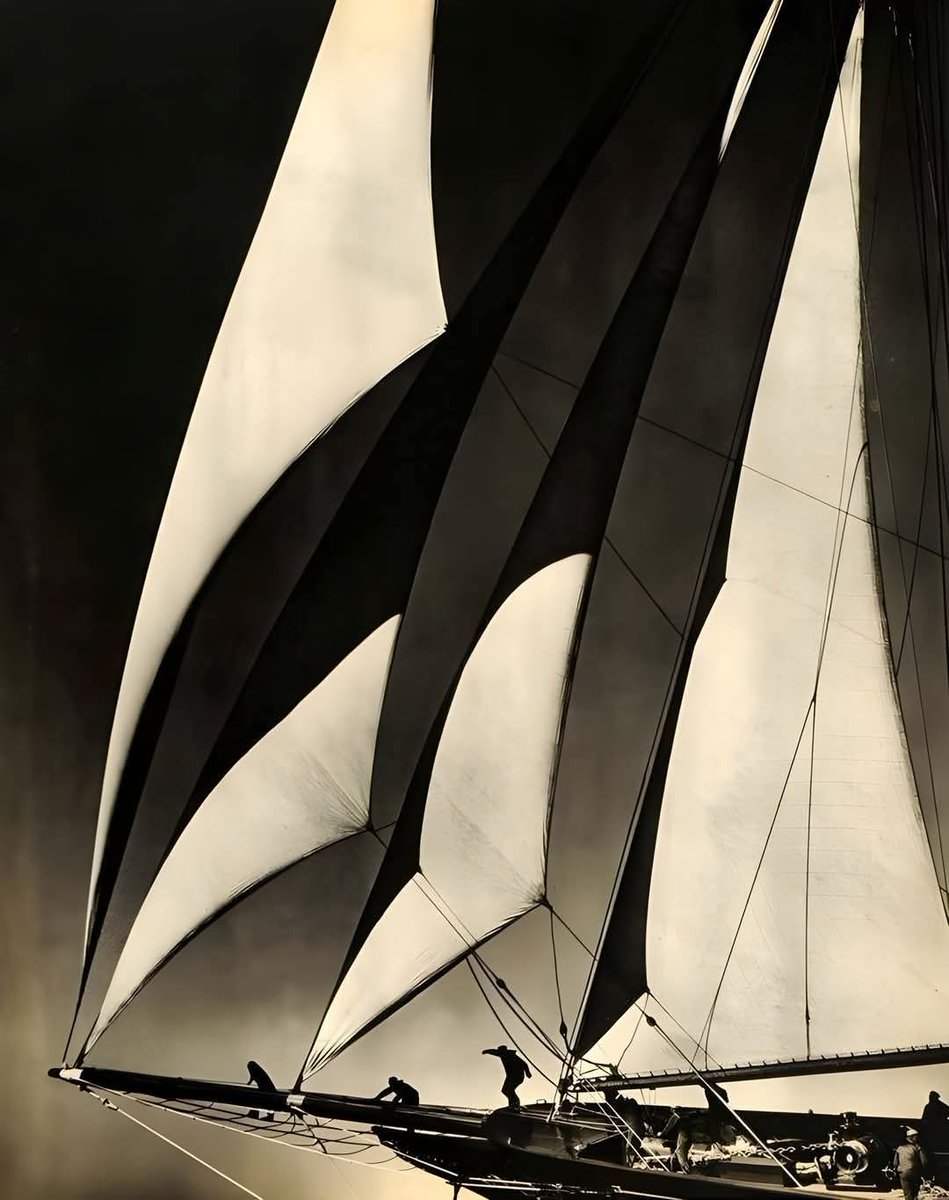 1SafetyLast's tweet image. 