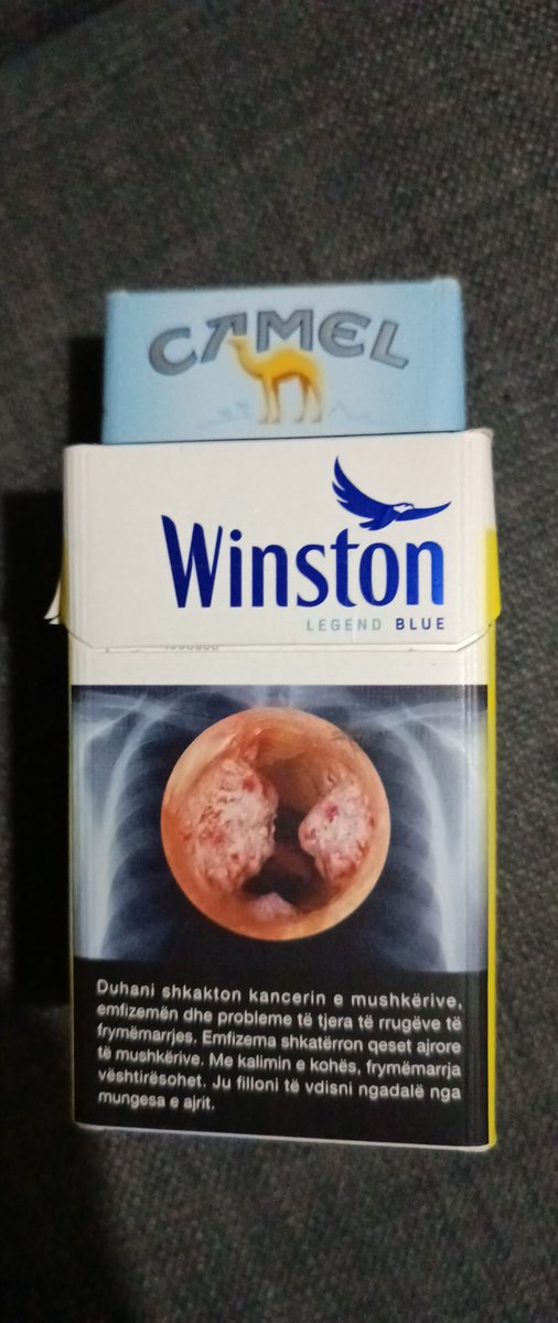 Kardinal tweet media