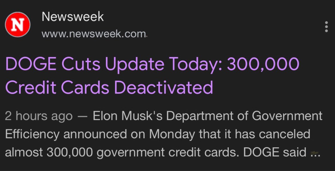 Doge is like the Dave Ramsey of Gov programs