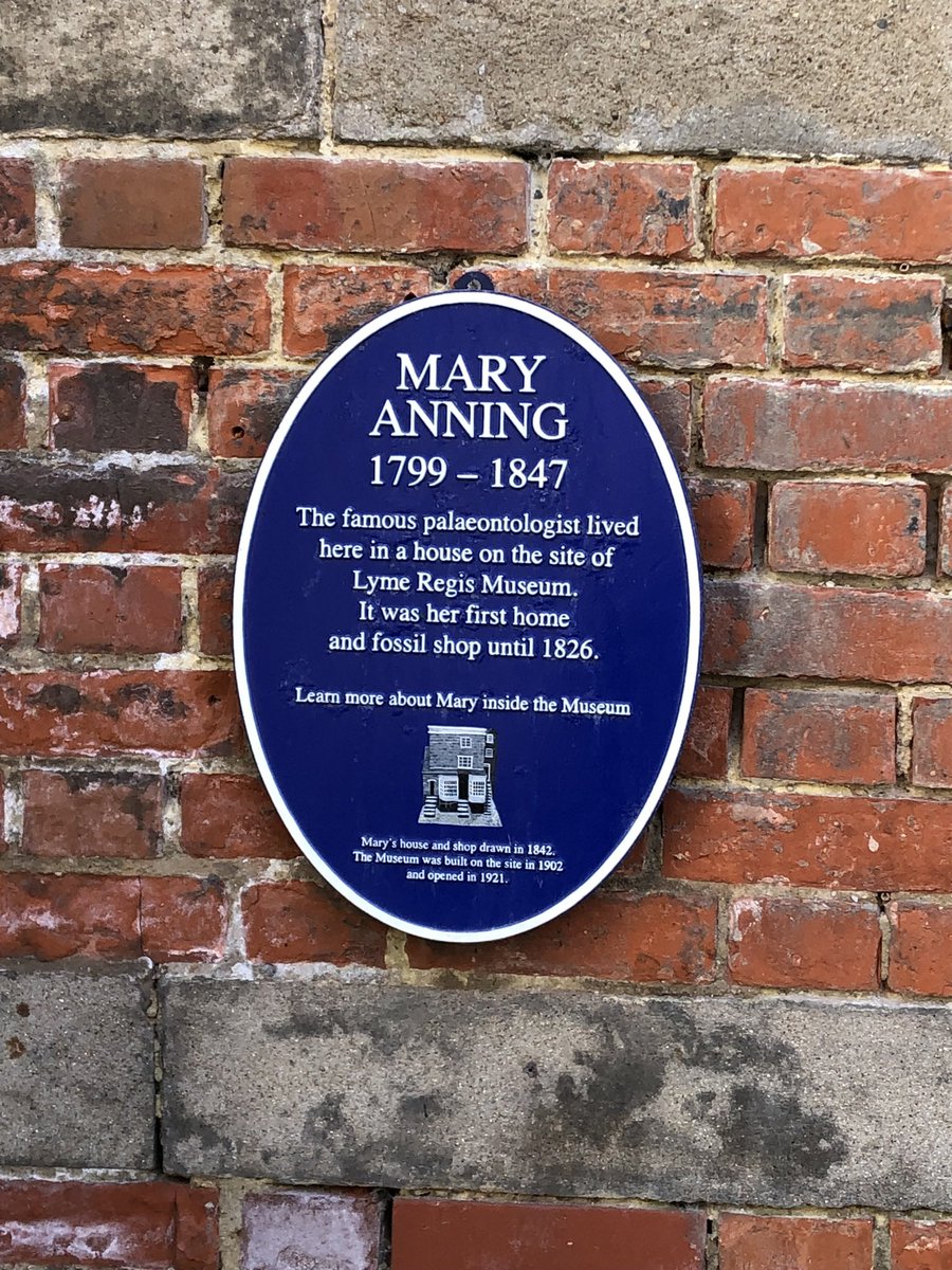 Bugün fosil avcısı Mary Anning’in yaşadığı Lyme Regis’i Londra’dan 2.5 saatlık bir tren yolculuğu yaparak ziyaret ettim.