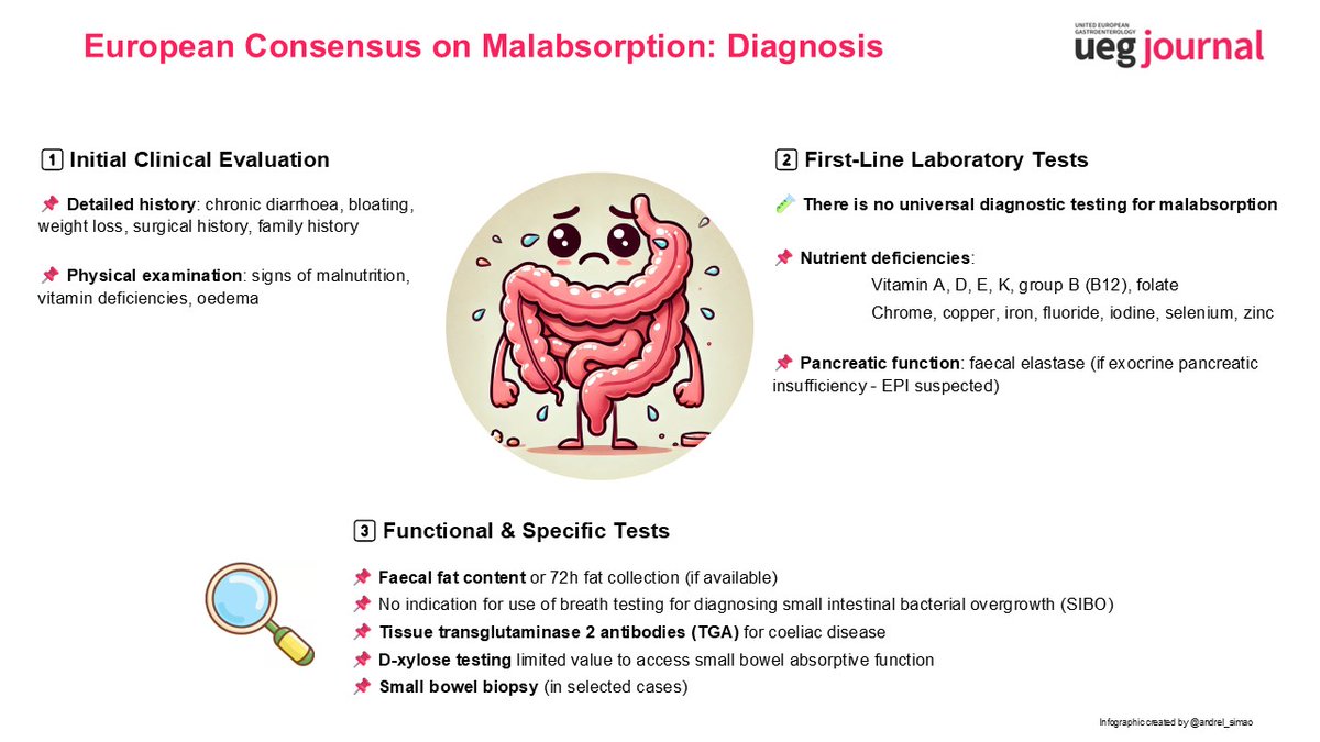 Here we go (again)👀

Back to the European Consensus on Malabsorption — Part 2 (which is actually Part 1😄)

📊Check out our second infographic below, this time focusing on diagnosis💡

📖#OpenAccess👉 tinyurl.com/4buumh2f

<a href="/my_ueg/">my_UEG</a> 

#Malabsorption #Nutrition #PrimaryCare #UEG