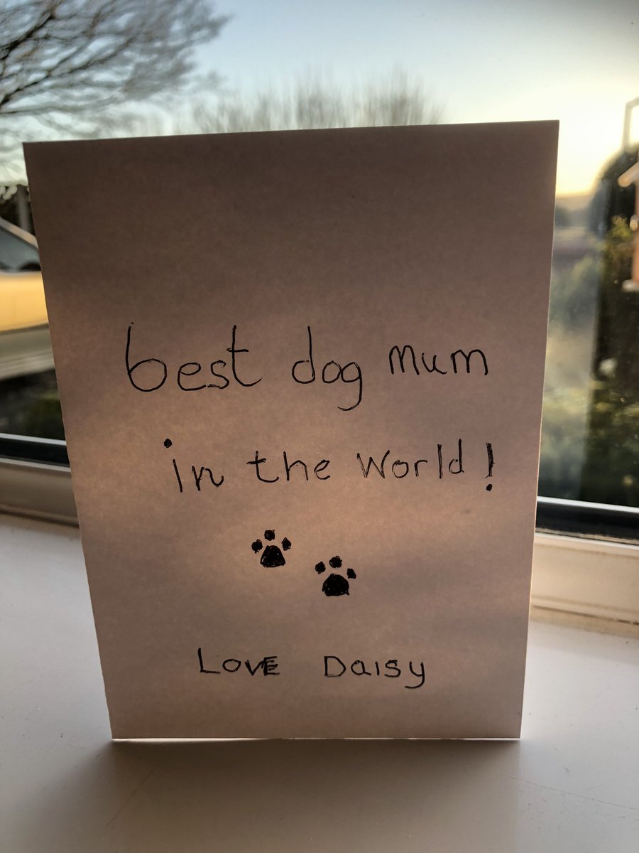 Look what Daisy did!