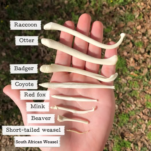 JonasNG (@jonasng) on Twitter photo 