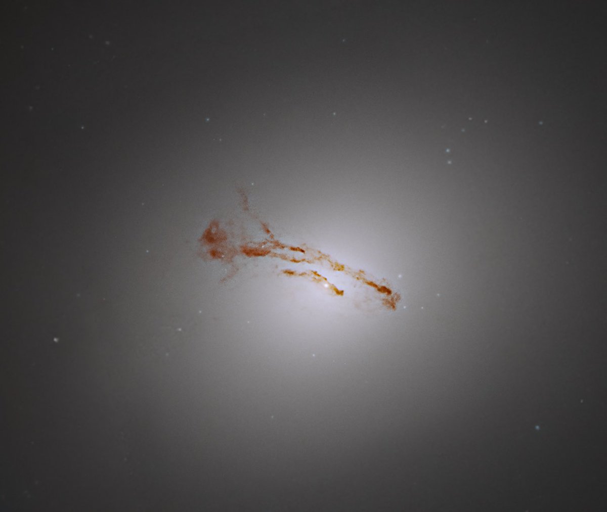 Latest in space tweet media