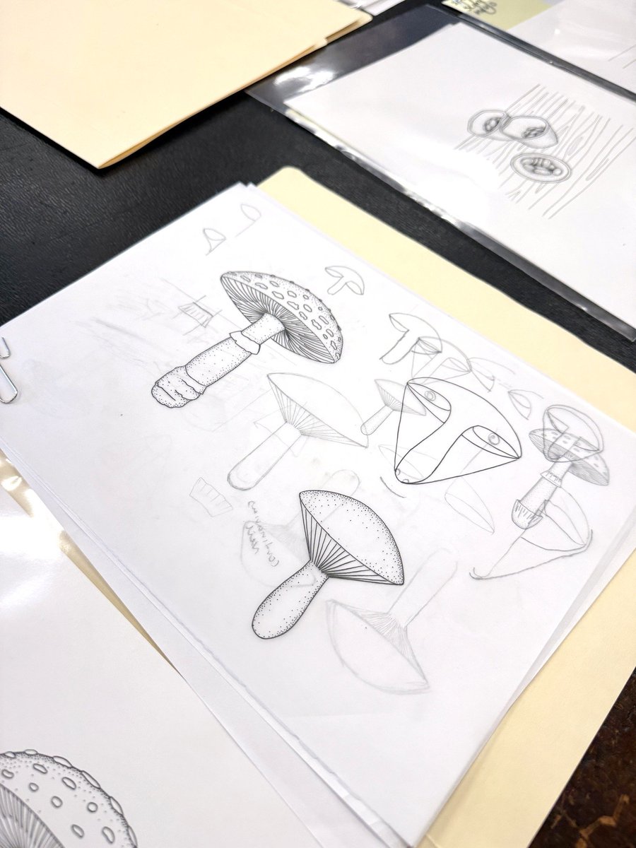 RBGV Science tweet media