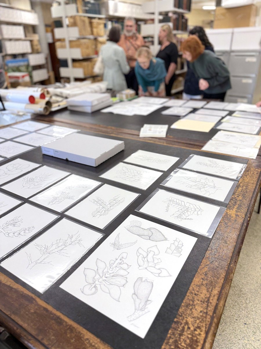 RBGV Science tweet media