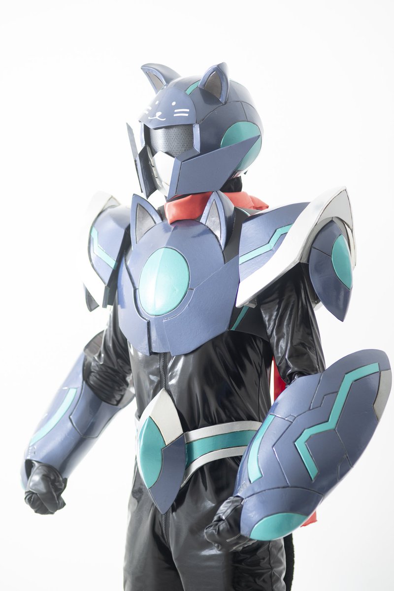 ニャンパルサー（オキラククロネコ） (@Nyan_pulser) / Posts / X