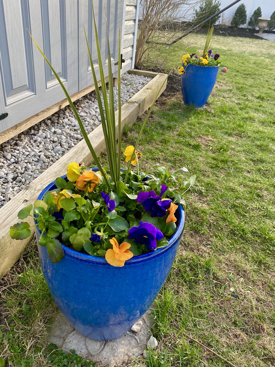Shady Brook Farm tweet media