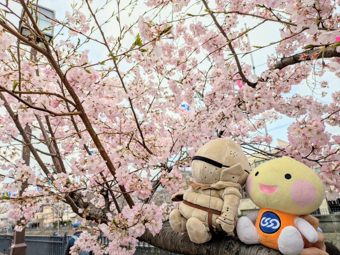 unionion's tweet photo. おはオニオン🧅

今日が #今年度最終日 ！おしごとがんばろうオニオン💪

#ユニオニオン #ダークソウルたまねぎ #カタリナの騎士ジークマイヤー https://t.co/zw08DGlZC2